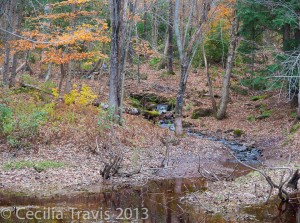 Gibson Trail