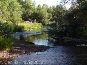 Bear Creek in Bear Creek Greenbelt, Lakewood