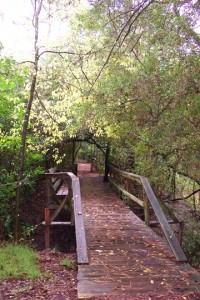 Bridge at Edith L. Moore Sanctuary