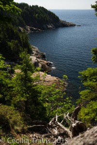 Looking down to water, MIddle Head trail