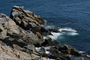 Rocks and sea, Middle Head loop