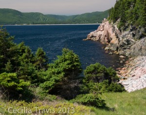 Lobster traps in sea below trail