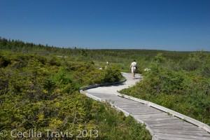 Boardwalk at Cape Breton