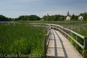 Sackville Waterfowl Park