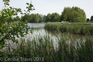 Sackville Waterfowl Park