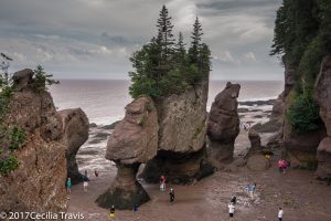 Flowerpot Rocks, Bay of Fundy National Park, New Brunswick