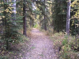 University of Alaska Fairbanks, North Campus trail system