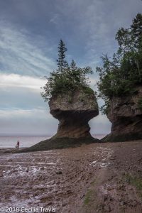 Hopewell Rocks