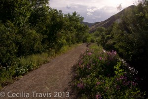 Accessible Trail along irrigation ditch at Clear Creek Trail, Golden CO. The trail is not a loop.