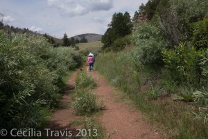 Weeds growing in easy hiking Narrow Gauge trail at Pine Valley Ranch Park Jefferson Co. Open Spac