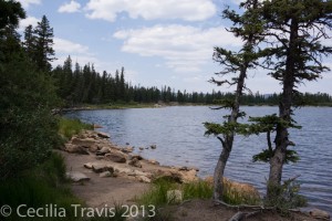 Spur trail to Echo Lake CO