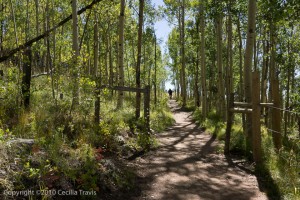 Easy start of the Colorado Trail , going east from Kenosha Pass CO