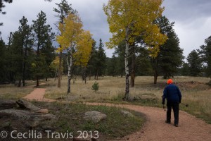 Hiker on Easy David Ponds Loop Trail Staunton State Park CO