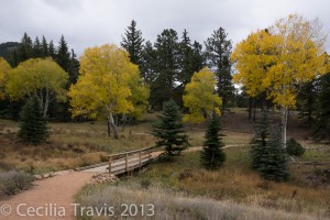 Easy Davis Ponds Loop Trail, Staunton State Park CO