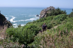 Easy trail at Patrick's Point State Park, California