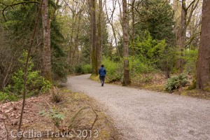 ADA Accessible Trail Bellevue Botanic Garden, Bellevue WA