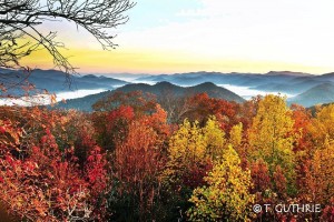 Fall Color from Accessible Overlook, Black Rock Mountain State Park GA