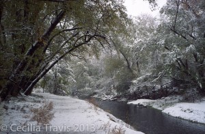 Fresh snow on easy walking trail, Bear Creek Greenbelt, Lakewood CO