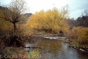 Lair O' The Bear Park from easy walking Creekside Trail, Jefferson County Open Space Colorado