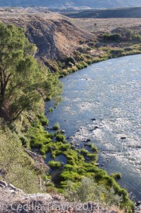 Easy walking path along the Shoshone Riverway Trail, Cody WY