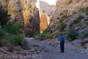 Canyon floor, Capitol Reef National Park