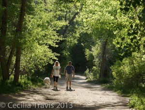 Wheelchair-accessible-with-assistance easy walking Clear Creek Trail, Golden CO