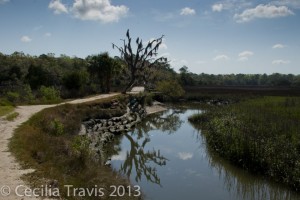 Sandpiper trail