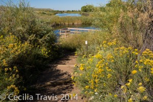 Audubon's easy hiking Discovery trail at Chatfield State Park CO