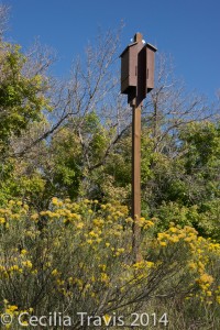 Bat houses at Audubon's easy hiking Discovery Trail at Chatfield State Park