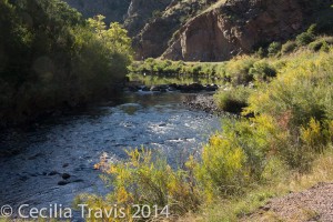 Waterton Canyon from wheelchair accessible road beside the South Platte River