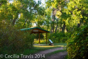 Accessible picnic shelter Waterton Canyon, Jefferson County Open Space CO