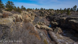 Looking North from Accessible Bridge Canyon Overlook, Castlewood Canyon State Park CO