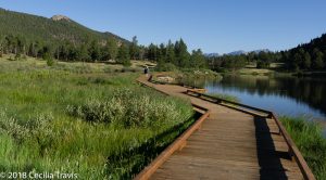 ADA wheelchair accessible easy trail around Lily Lake, Rocky Mountain National Park, Colorado