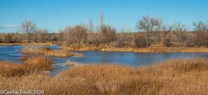 Walden Ponds from wheelchair accessible trail