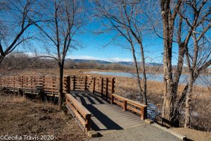 Wheelchair accessible boardwalk at Walden Ponds