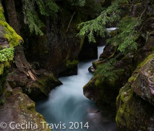 Avalanche Creek photographed from the easy Trail of the Cedars, Glacier National Park MT