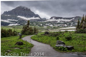 ADA wheelchair accessible Nature Trail, Logan Pass, Glacier National Park MT