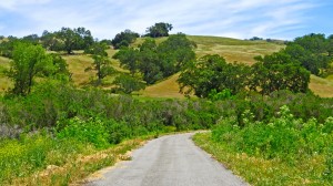 Accessible trail at Joseph Grant County Park CA