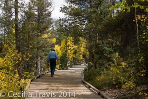 ADA wheelchair accessible boardwalk, Wilderness on Wheels CO