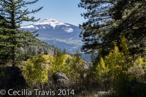 Del Norte Peak seen from easy lower part of Alder Bench Trail, NFS #799 Rio Grande National Forest, CO