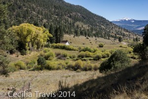 View of Alder Guard Station from the start of easy lower part of Alder Bench NFS trail #799 Rio Grande National Forest CO