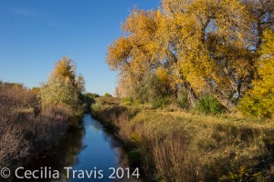 Easy hiking trail along the Highline Canal at Two Ponds National Wildlife Refuge