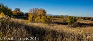 View from easy trail on the Prairie Management area of Two Ponds National Wildlife Refuge