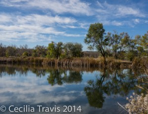 Bass Lake from the wheelchair accessible Clear Creek Trail, Wheat Ridge, CO