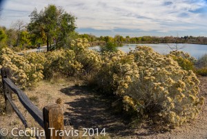 West Lake from the wheelchair accessible Clear Creek Trail, Wheat Ridge, CO