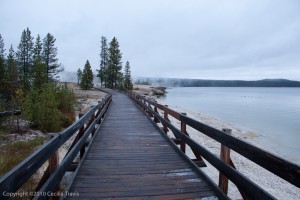 Wheelchair Accessible Boardwalk by Lake Yellowstone, Yellowstone National Park WY