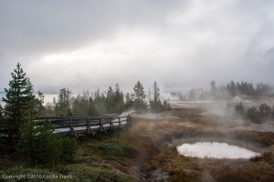 Accessible Boardwalk at West Thumb Geyser Basin, Yellowstone National Park, WY