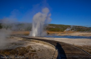 Plume Geyser from wheelchair accessible boardwalk, Yellowstone National Park, WY