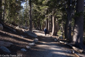 Wheelchair accessible Tahoe Meadows Trail, Toiyabe-Humboldt National Forest, NV