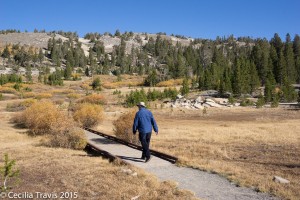 Hiker on wheelchair accessible Tahoe Meadows Trail, Toiyabe-Humboldt National Forest, NV